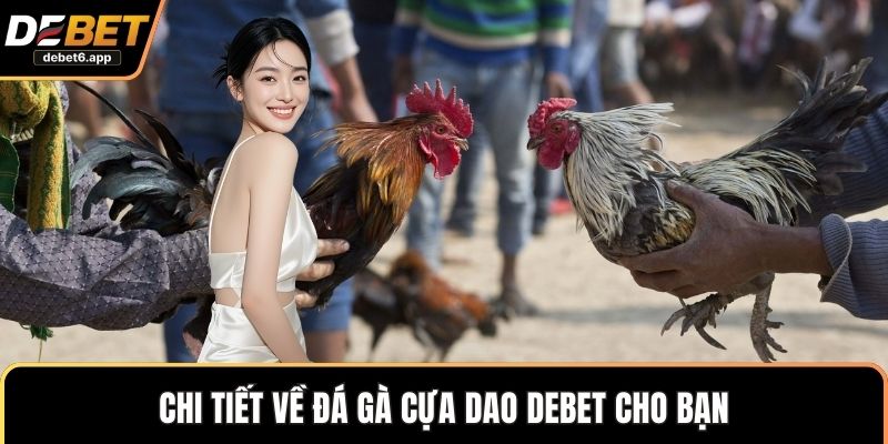 Chi tiết về đá gà cựa dao DEBET cho bạn