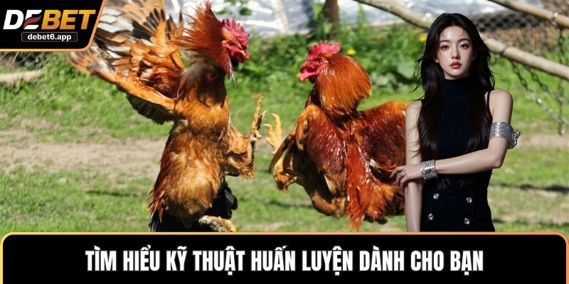 Tìm hiểu kỹ thuật huấn luyện dành cho bạn