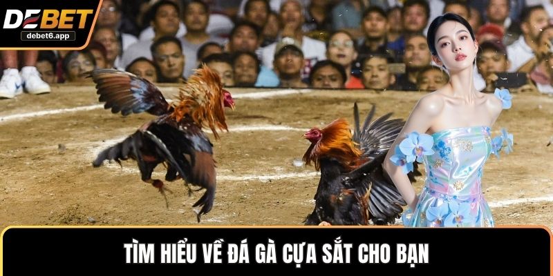 Tìm hiểu về đá gà cựa sắt cho bạn 
