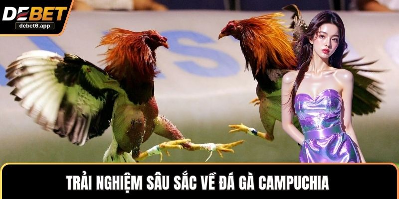 Trải nghiệm sâu sắc về đá gà Campuchia 
